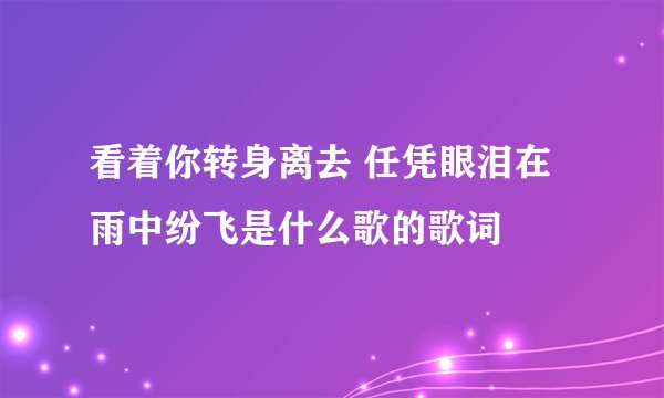 看着你转身离去 任凭眼泪在雨中纷飞是什么歌的歌词