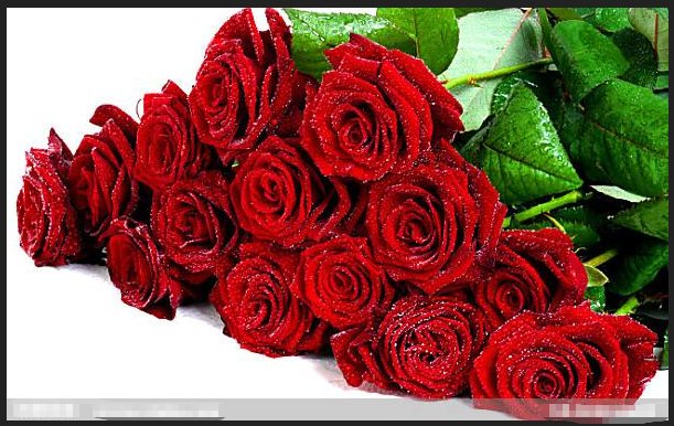 7朵玫瑰花是什么意思？