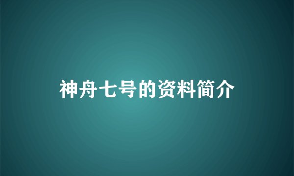 神舟七号的资料简介