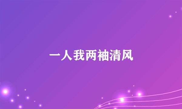一人我两袖清风
