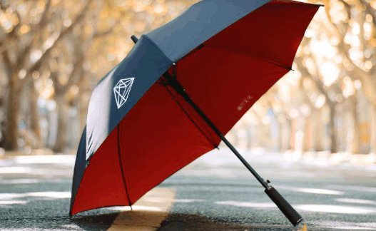 雨伞是什么意思？