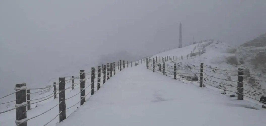 全国多地已悄然降下第一场雪，今年的雪为何会来的这么早？