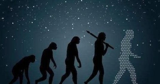 进化论有什么漏洞?