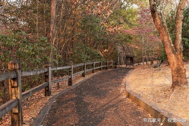 山行古诗的斜是什么意思？