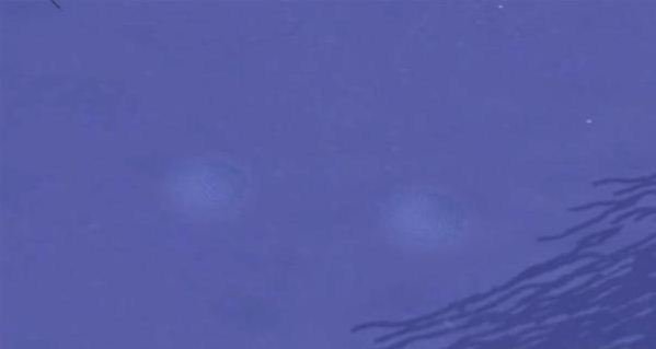 《模拟人生3》的所有秘籍是什么？