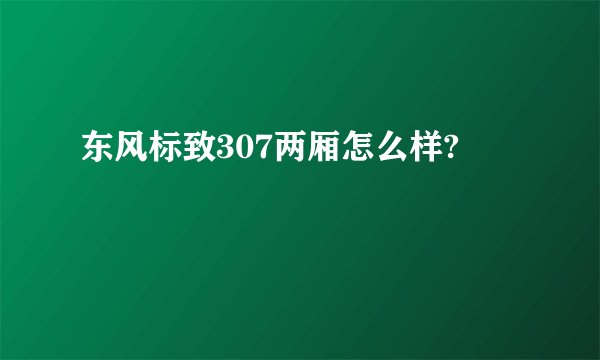 东风标致307两厢怎么样?