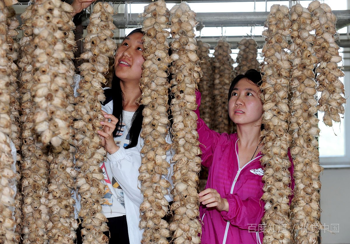 大学生有哪些任务呢？