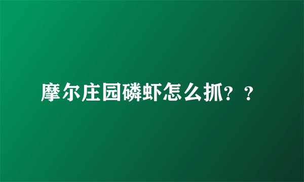 摩尔庄园磷虾怎么抓？？