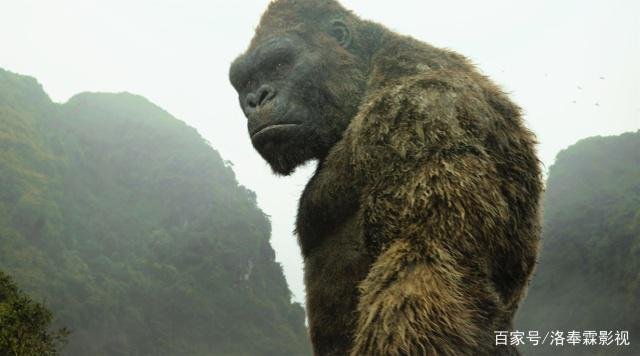 《哥斯拉》中的四大怪兽分别对战金刚,谁会输?谁会赢?