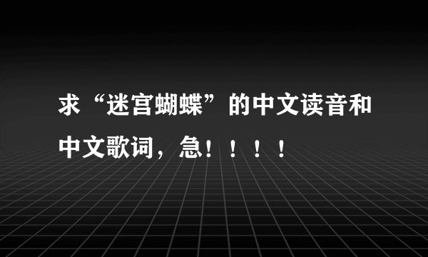 求“迷宫蝴蝶”的中文读音和中文歌词，急！！！！
