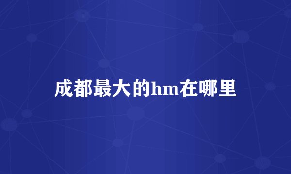 成都最大的hm在哪里