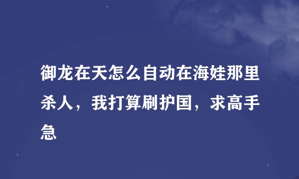 御龙在天怎么自动在海娃那里杀人，我打算刷护国，求高手 急