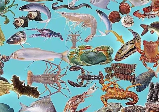 各种生物的生活环境