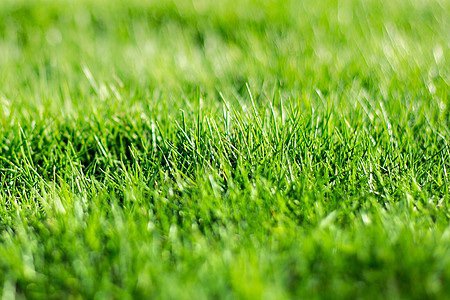 萃怎么读什么意思