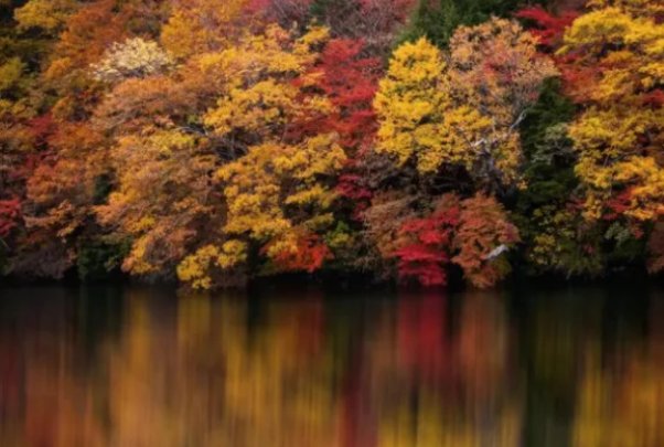 秋高气爽秋高是指什么意思