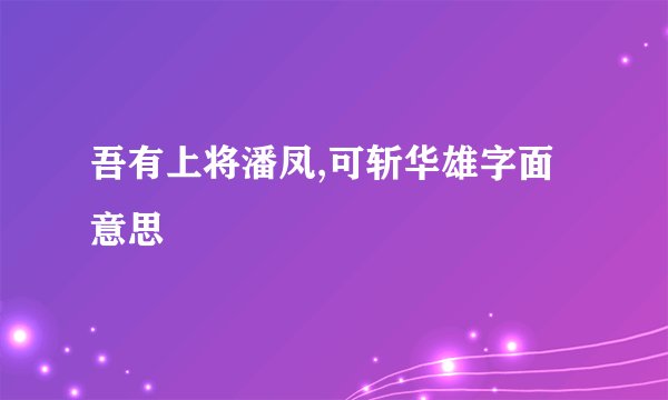 吾有上将潘凤,可斩华雄字面意思