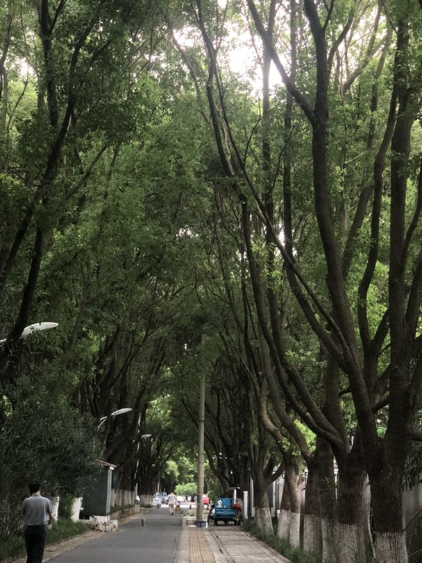 七夕节可以和闺蜜一起过吗？