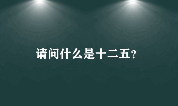 请问什么是十二五？