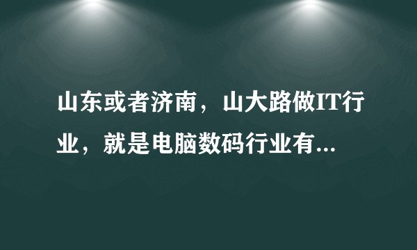 山东或者济南，山大路做IT行业，就是电脑数码行业有没有比较大的批发、调货、qq群啊？给推荐几个，谢谢！