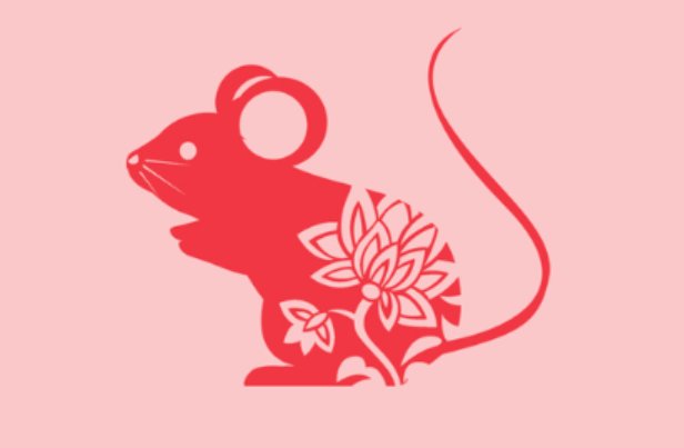 力争上游代表什么肖