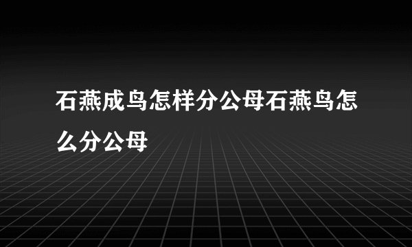 石燕成鸟怎样分公母石燕鸟怎么分公母