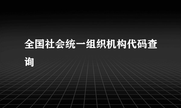 全国社会统一组织机构代码查询