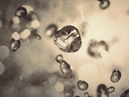 装憨憨假空空的介绍