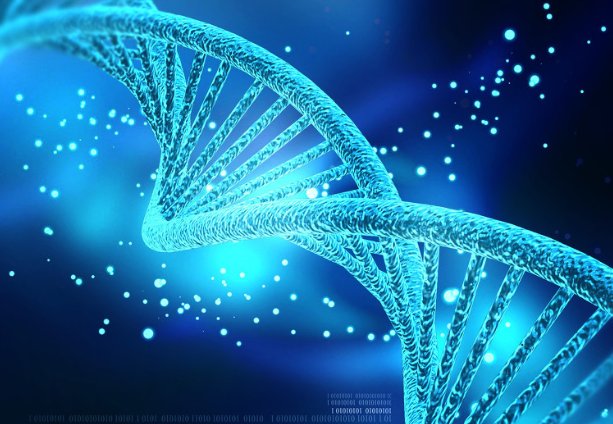 植物为何可以活上千年，它们的长寿秘诀是什么？