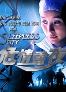 危情雪夜的电影简介