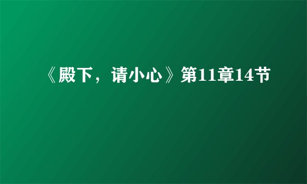 《殿下,请小心》第11章14节