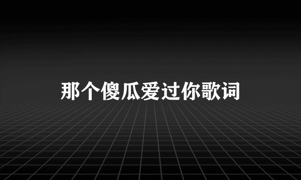 那个傻瓜爱过你歌词
