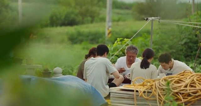 为什么我们感觉丧丧的？