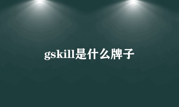 gskill是什么牌子