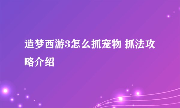 造梦西游3怎么抓宠物 抓法攻略介绍