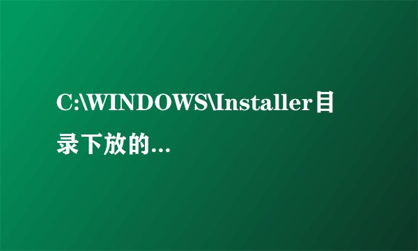 C:\WINDOWS\Installer目录下放的是些什么文件？