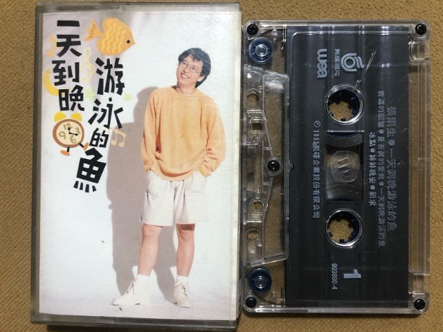 张雨生的十大经典歌曲