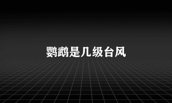 鹦鹉是几级台风