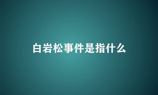 白岩松事件是指什么