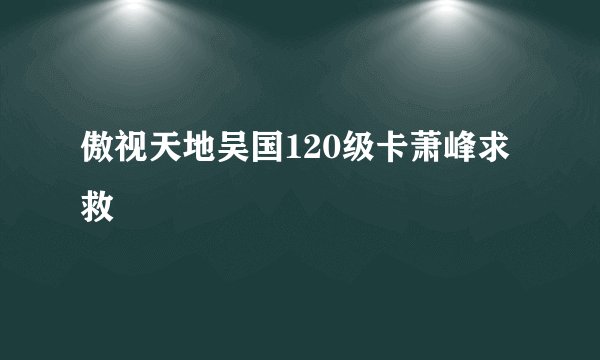 傲视天地吴国120级卡萧峰求救