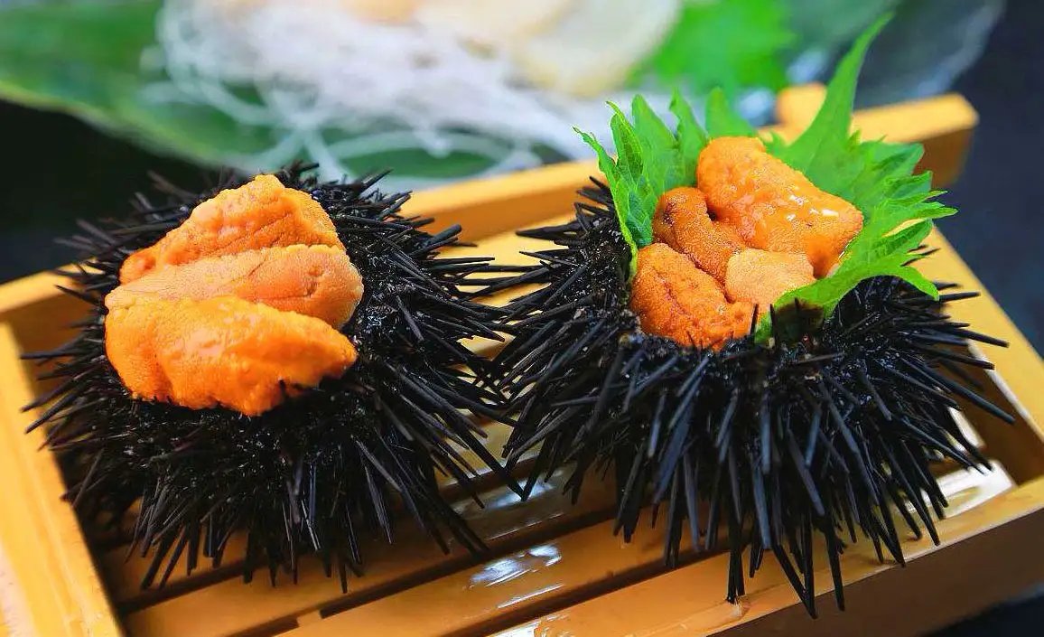 海胆这种生物长有牙齿吗？它们是如何进食的？