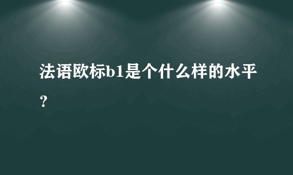 法语欧标b1是个什么样的水平？