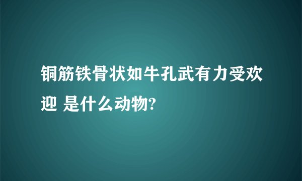 铜筋铁骨状如牛孔武有力受欢迎 是什么动物?