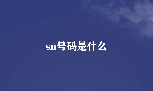 sn号码是什么