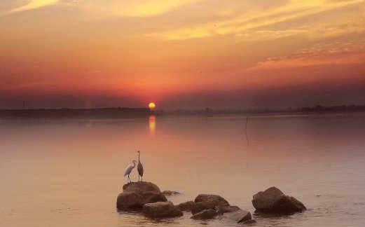 百事皆喜,相得甚欢什么意思