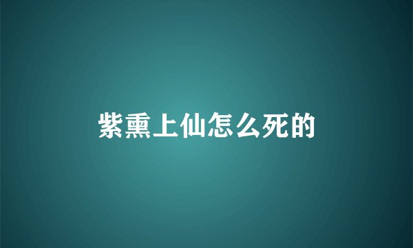紫熏上仙怎么死的