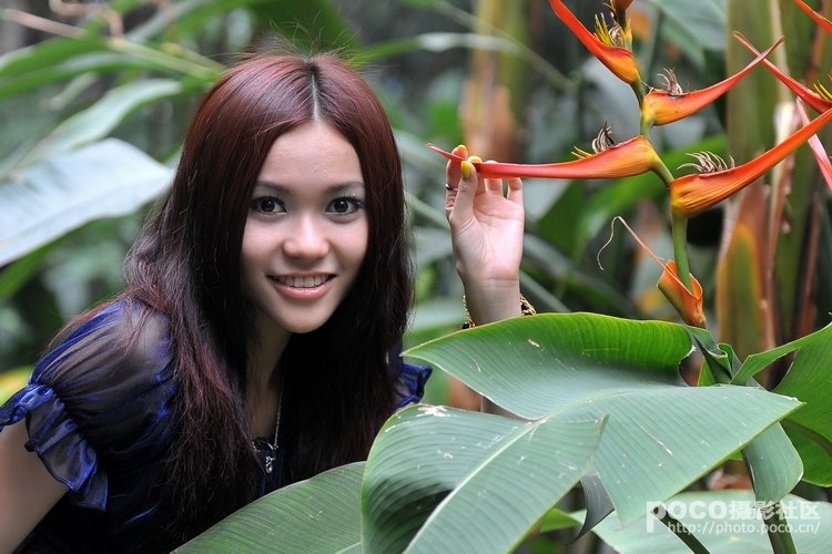 无暇的爱的介绍