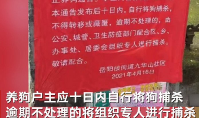 如何看待社区要求业主十日内自行捕杀狗的做法？