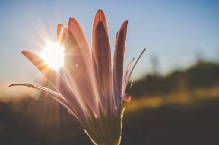 涤荡心灵下半句怎么说的