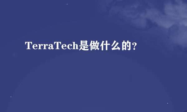TerraTech是做什么的？