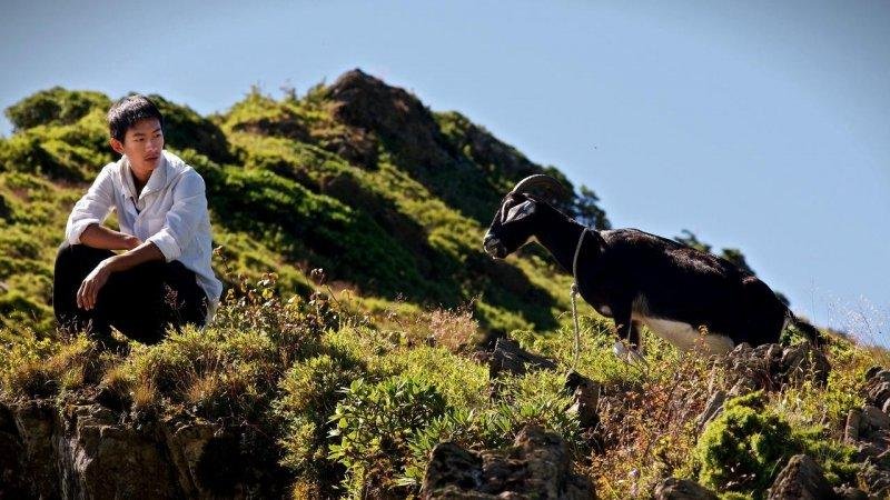 变羊记是哪里的恐怖片？